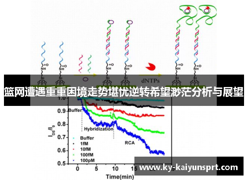 篮网遭遇重重困境走势堪忧逆转希望渺茫分析与展望