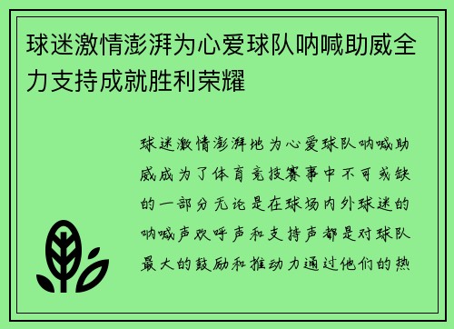 球迷激情澎湃为心爱球队呐喊助威全力支持成就胜利荣耀