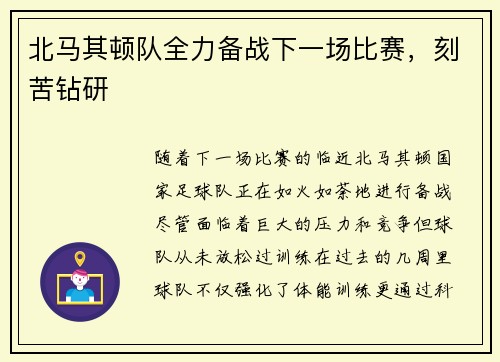 北马其顿队全力备战下一场比赛，刻苦钻研