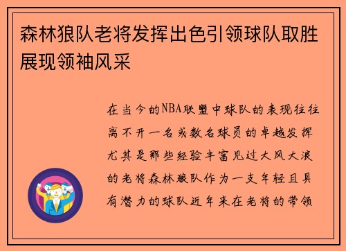 森林狼队老将发挥出色引领球队取胜展现领袖风采
