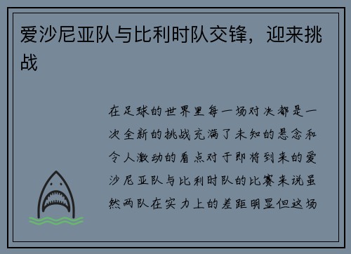 爱沙尼亚队与比利时队交锋，迎来挑战