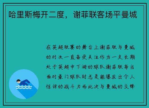哈里斯梅开二度，谢菲联客场平曼城